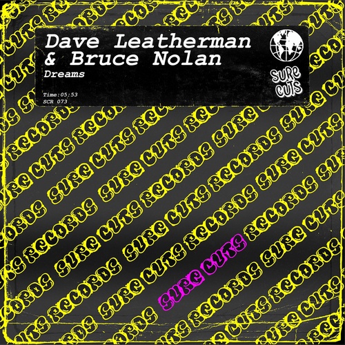 Dave Leatherman, Bruce Nolan - Dreams [10199196]